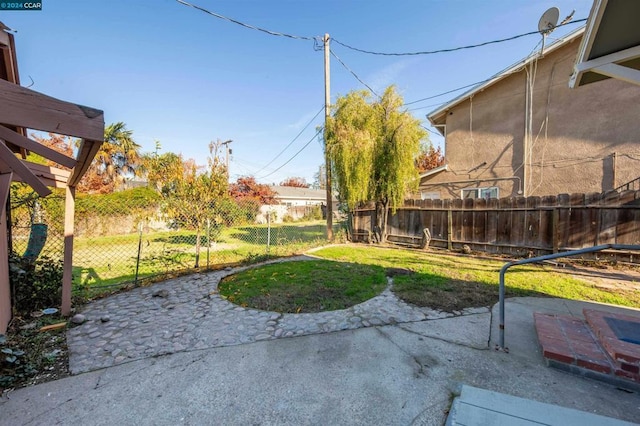 view of yard featuring a patio area