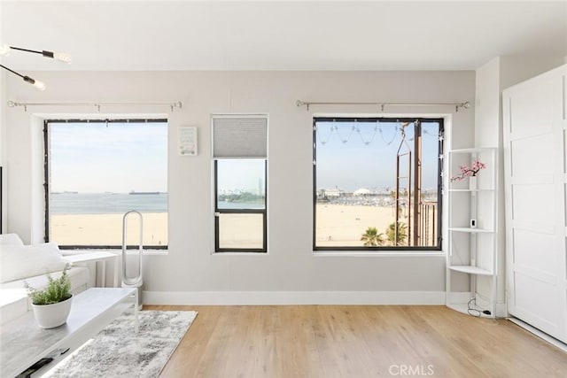 interior space featuring a water view, a wealth of natural light, and light hardwood / wood-style floors