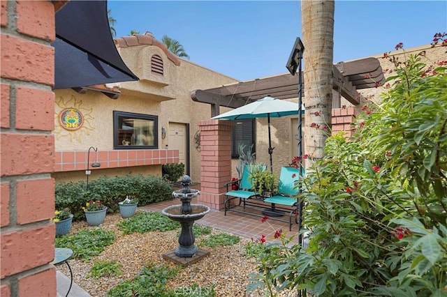 rear view of house featuring a patio and stucco siding