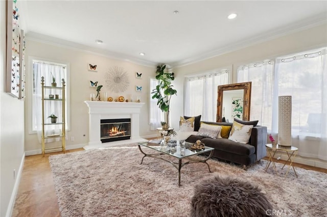 living room featuring crown molding