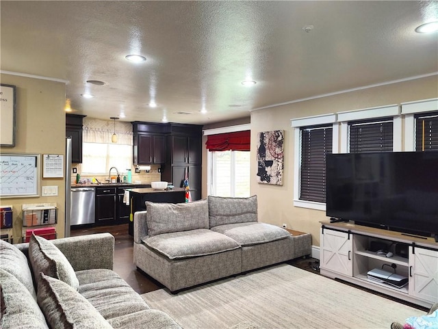 living room with a textured ceiling, wood-type flooring, and sink