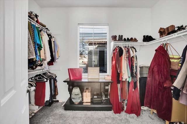 walk in closet featuring carpet floors