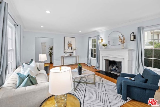 living room featuring wood-type flooring and ornamental molding