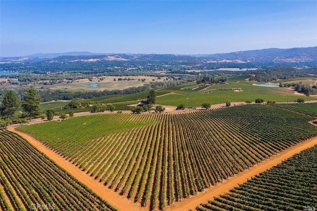 birds eye view of property featuring a mountain view and a rural view