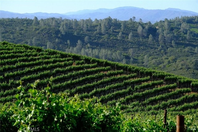 property view of mountains