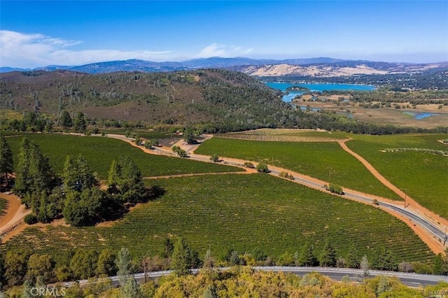 bird's eye view with a water and mountain view and a rural view