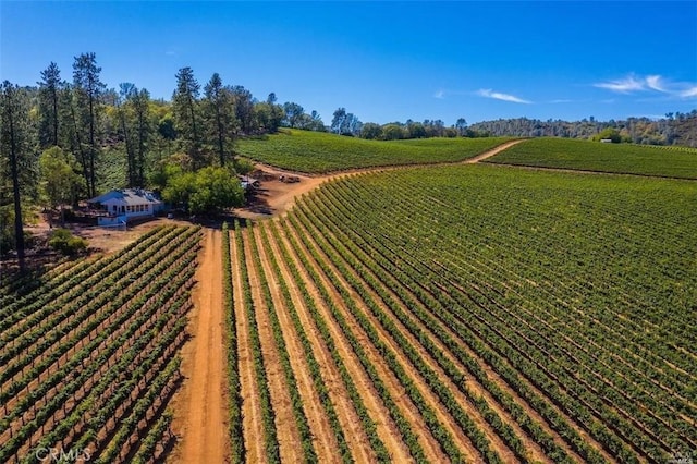 view of property's community with a rural view and a yard