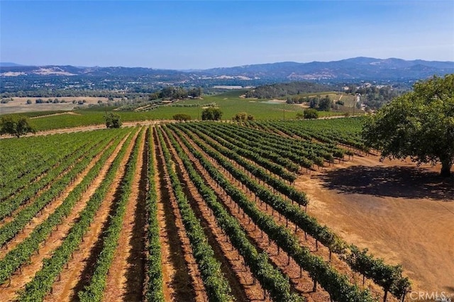 drone / aerial view with a mountain view and a rural view