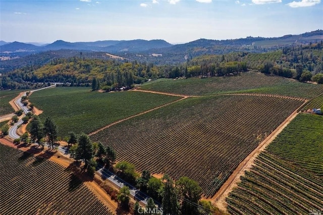 birds eye view of property featuring a rural view and a mountain view