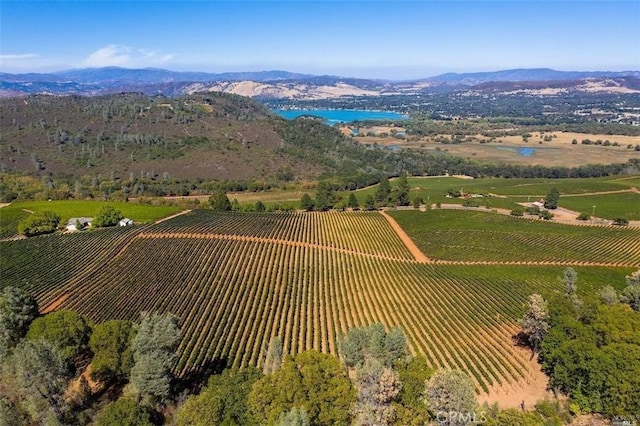 birds eye view of property featuring a rural view and a mountain view