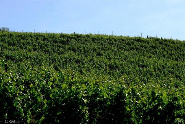 view of landscape featuring a rural view