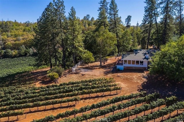 drone / aerial view with a rural view