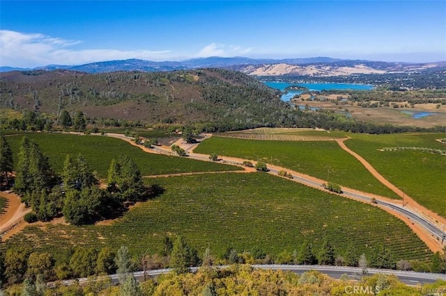 aerial view with a rural view and a water and mountain view