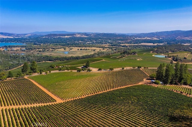 drone / aerial view featuring a rural view and a water and mountain view