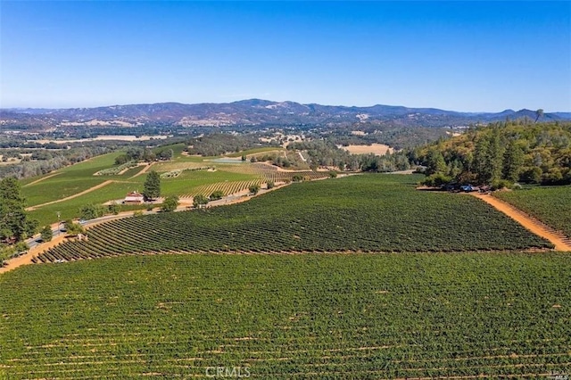 drone / aerial view featuring a rural view and a mountain view