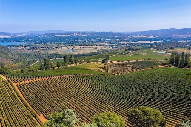 bird's eye view with a rural view and a mountain view