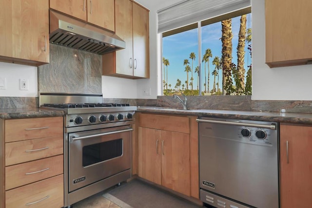 kitchen with sink, exhaust hood, appliances with stainless steel finishes, and a healthy amount of sunlight