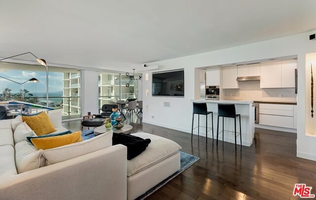 living room with a wall of windows and dark hardwood / wood-style floors