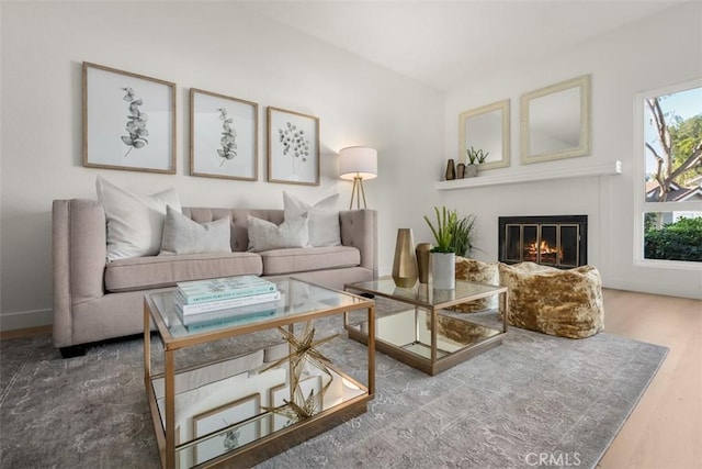 living room featuring hardwood / wood-style floors