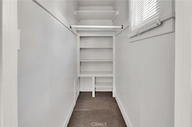 spacious closet with dark colored carpet