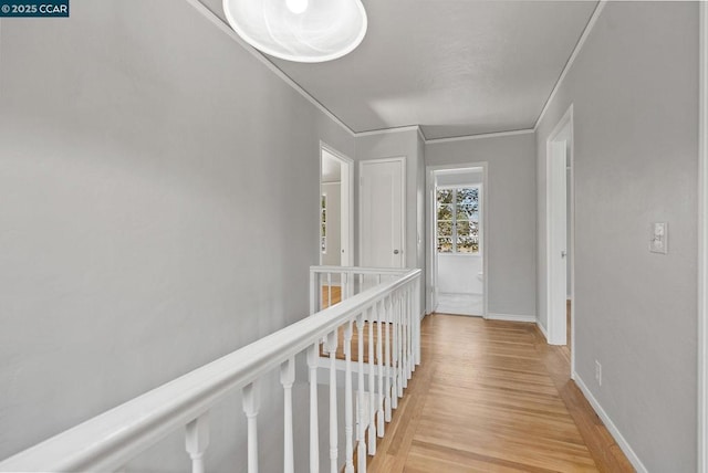 hall featuring light hardwood / wood-style flooring and crown molding