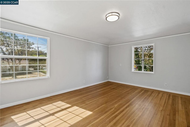 spare room with ornamental molding and wood-type flooring