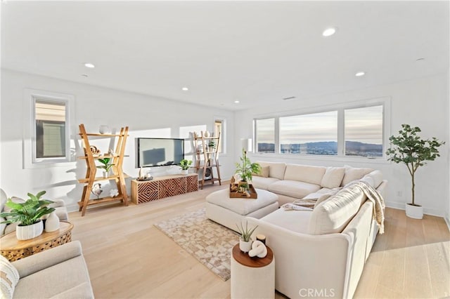 living room with light hardwood / wood-style flooring