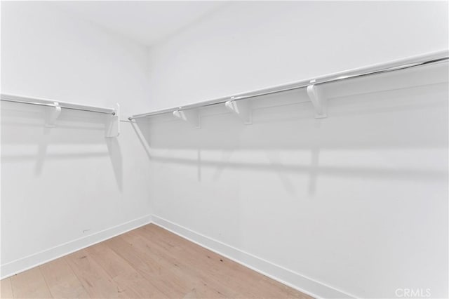 walk in closet featuring hardwood / wood-style flooring