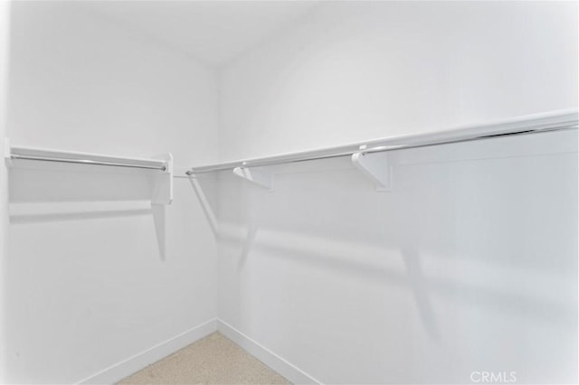 walk in closet featuring carpet floors