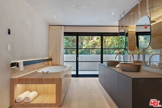 bathroom with vanity, wood-type flooring, and a washtub