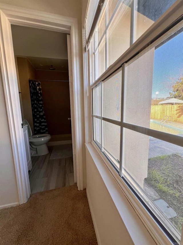 hallway featuring a wealth of natural light and carpet