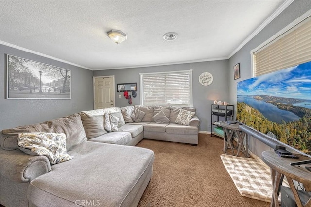 living room with a textured ceiling, carpet, and crown molding