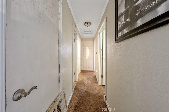 hall with crown molding and carpet flooring