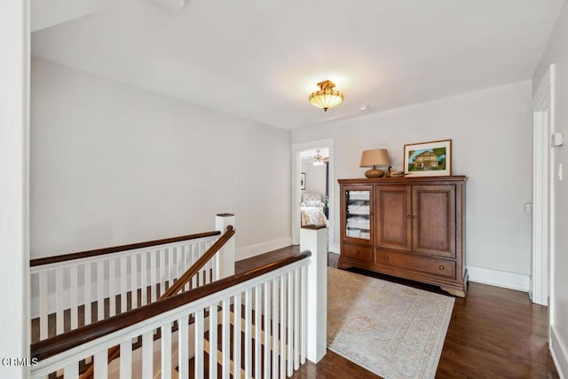 hall featuring dark hardwood / wood-style floors