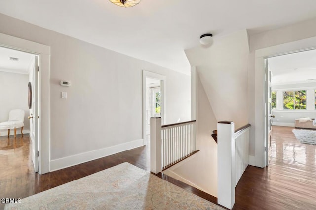 hall featuring dark wood-type flooring