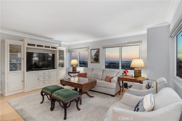 living room with ornamental molding