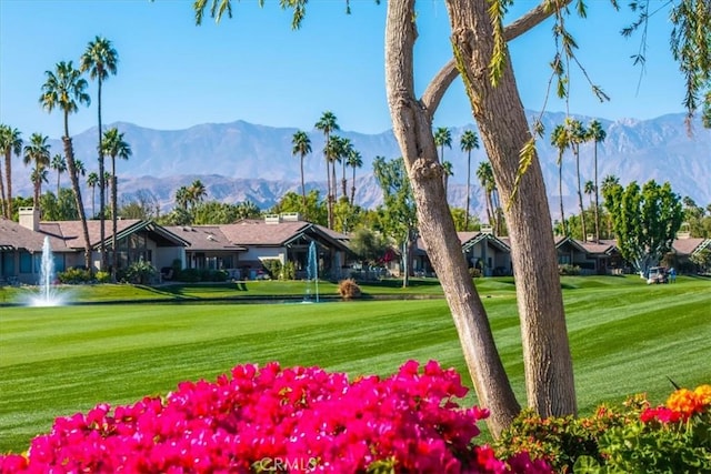 view of community featuring a mountain view and a lawn