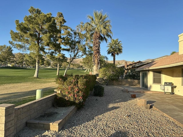 view of yard featuring a patio area