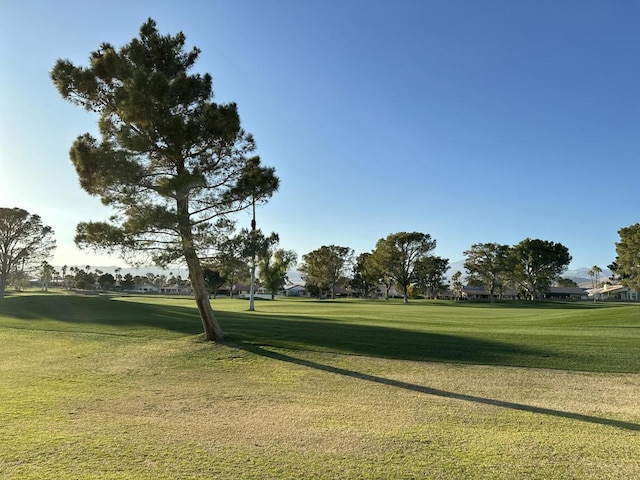 view of community featuring a lawn