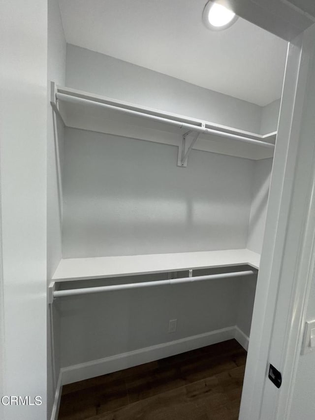 walk in closet featuring dark wood-type flooring