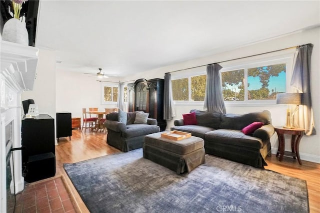 living room featuring wood-type flooring