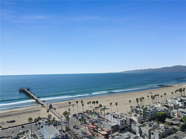 water view featuring a beach view