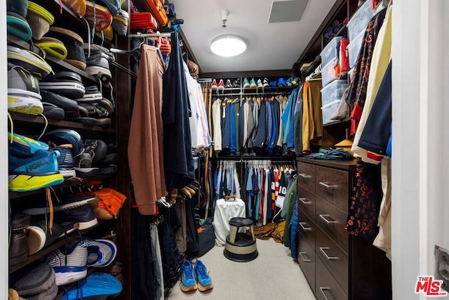 view of walk in closet