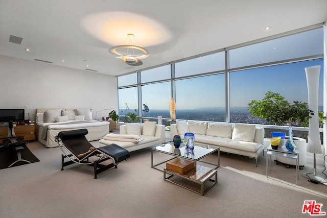 interior space featuring carpet and a wealth of natural light