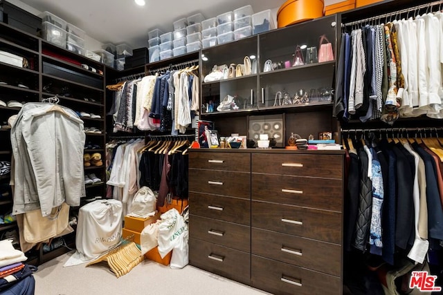 spacious closet with carpet