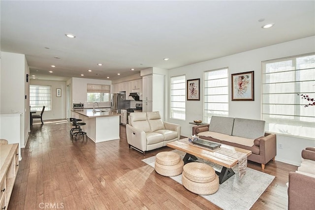 living room featuring light hardwood / wood-style floors and sink