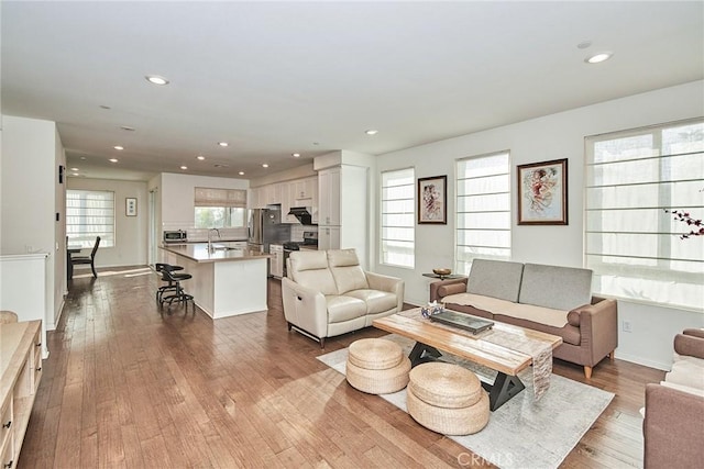 living room featuring sink and light wood-type flooring