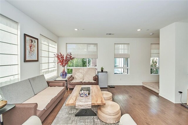 living room featuring a healthy amount of sunlight and hardwood / wood-style floors