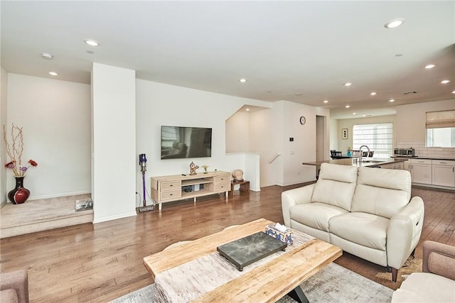 living room with wood-type flooring and sink