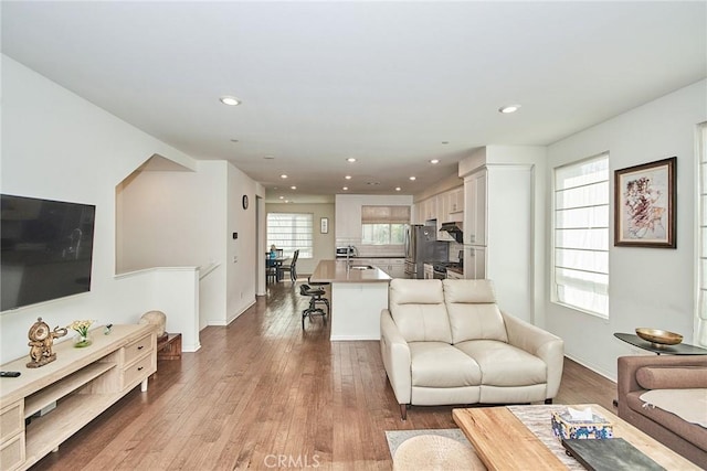 living room featuring light hardwood / wood-style flooring and sink